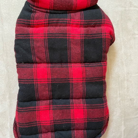 Doggie clothes - Picture 5 of 12